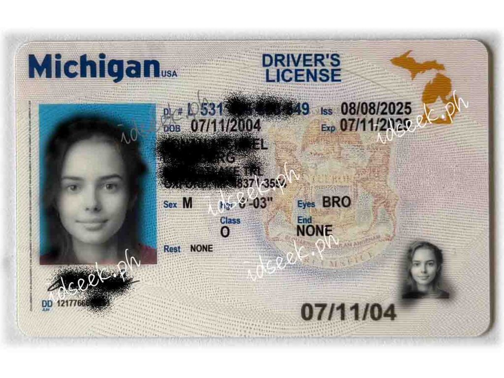 Michigan (New)