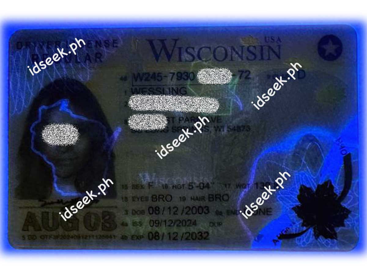 Wisconsin ID (New) - Image 2